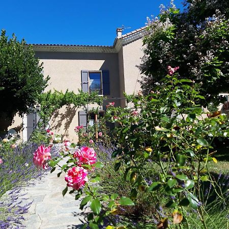 Le Clos Du Verger La Motte-du-Caire Екстериор снимка